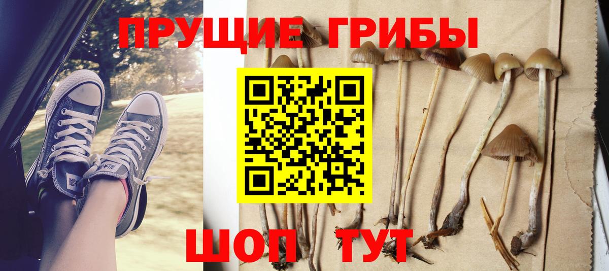 Галлюциногенные грибы ЛСД Чехов